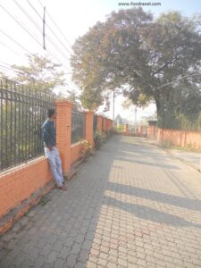 From Guest House to Ground