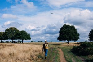 Traveling ethics
