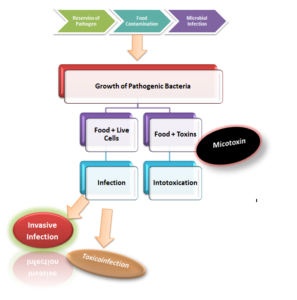 Foodborne Diseases