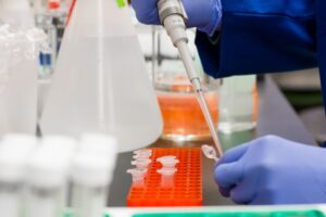 Food Safety and Hygiene
