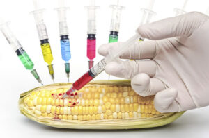 Food Adulteration
