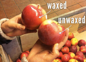Food Adulteration