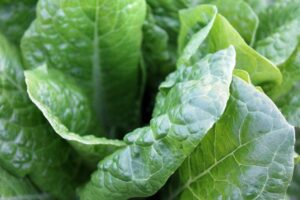 Magnesium Rich Food