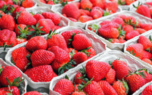 Preserving perishable food