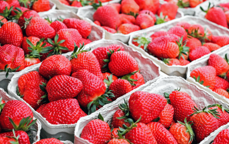 Preserving perishable food