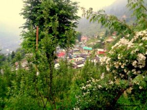 Trekking in Tosh
