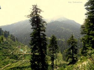 Trekking in Tosh