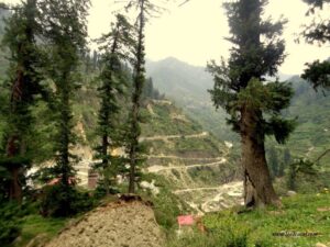 Trekking in Tosh