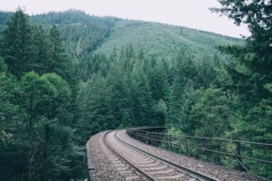 Love Train Journey