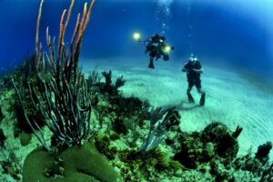 Travel Activities to do before You Die