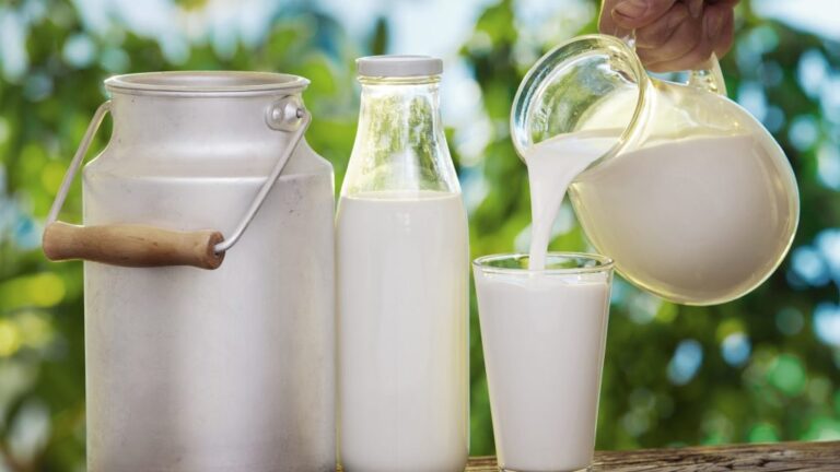 Nutritional Facts of Raw Milk