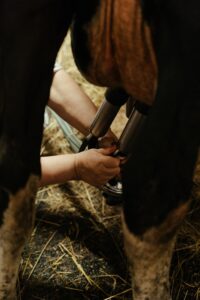 Nutritional Facts of Raw Milk