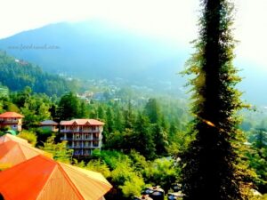 One Night at Dharamkot