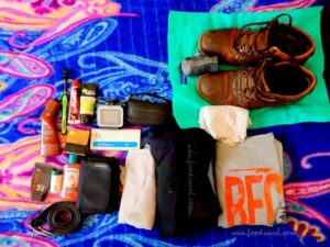 One Night at Dharamkot