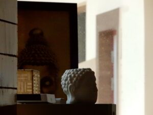 One Night at Dharamkot