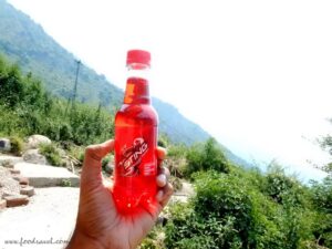 Solo Trekking to Triund