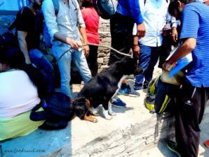 Solo Trekking to Triund