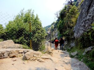 Solo Trekking to Triund