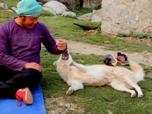 My First Time Camping at Triund