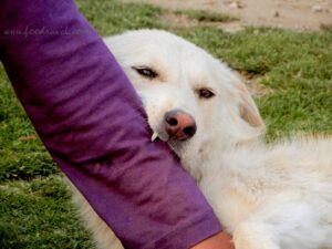 My First Time Camping at Triund