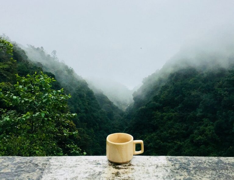 What to Eat during Monsoon