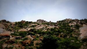 Dhosi Hill