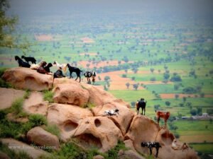 Dhosi Hill