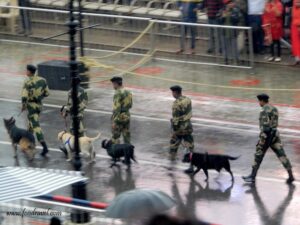 Wagah Attari Border ceremony