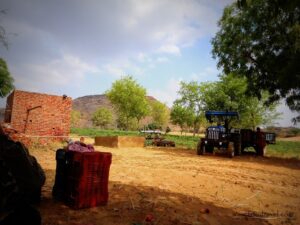 tomato farms of Mahra Village