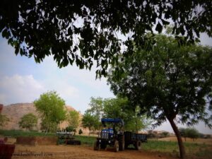 tomato farms of Mahra Village