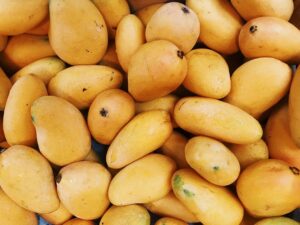 Fruits You Should Eat in Summer