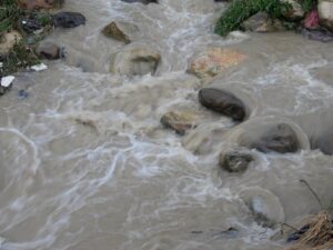 One Day Trip to Dehradun