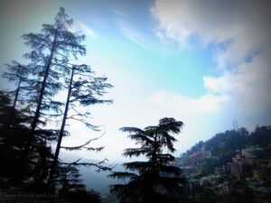 Mcleod Ganj from Delhi