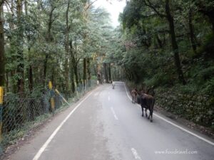 St John in the Wilderness