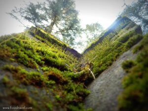 St John in the Wilderness