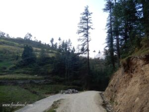 trekking in shangarh