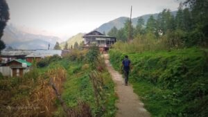 trekking in shangarh