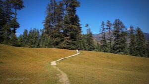 Devta Ground Shangarh