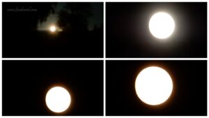 trekking in shangarh