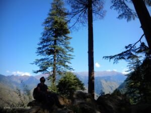 Visit Shangarh