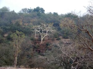 Garadia Mahadev Temple