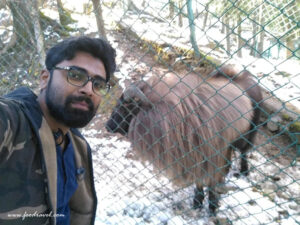 first snow experience at Kufri Zoo