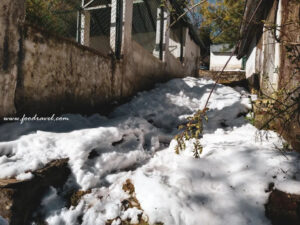 first snow experience at Kufri Zoo
