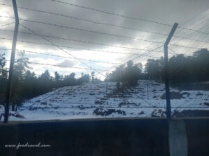 first snow experience at Kufri Zoo