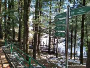 first snow experience at Kufri Zoo
