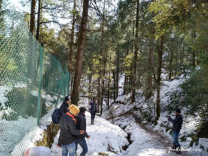 first snow experience at Kufri Zoo