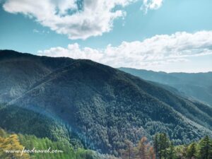 Green Valley View Point