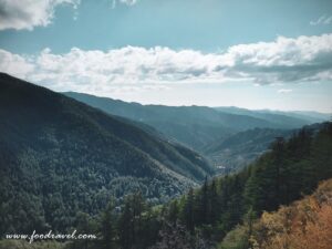 Green Valley View Point