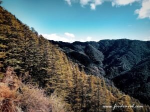 Green Valley View Point