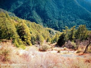 Green Valley View Point